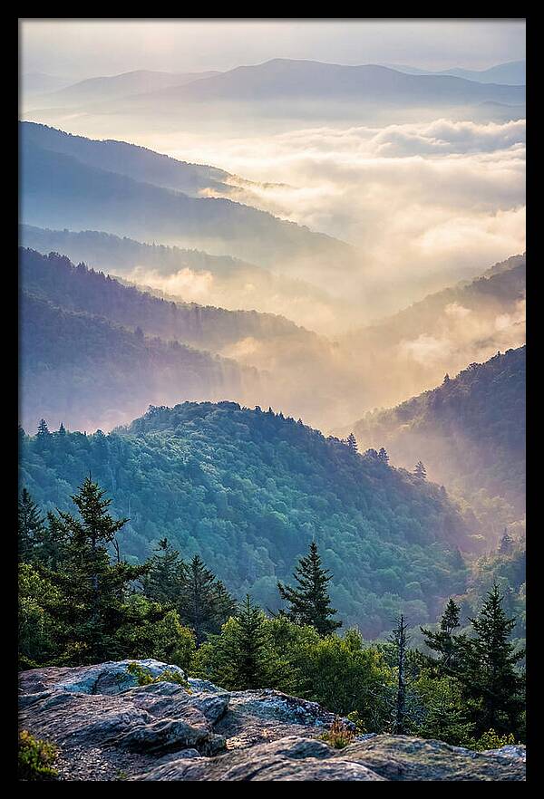 Great Smokies Mountain Mist