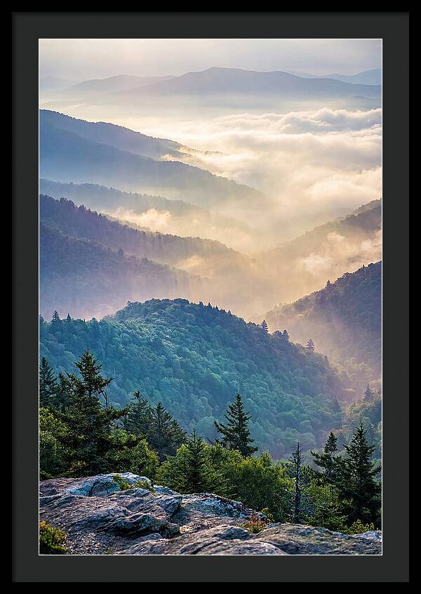Great Smokies Mountain Mist