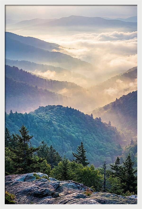 Great Smokies Mountain Mist