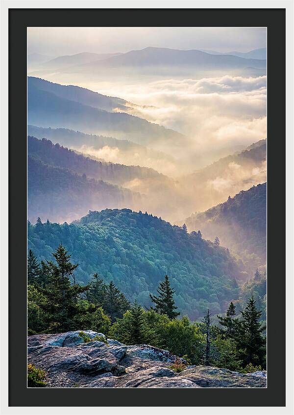 Great Smokies Mountain Mist