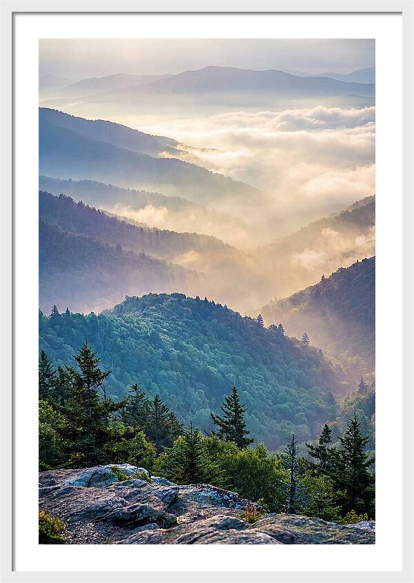 Great Smokies Mountain Mist