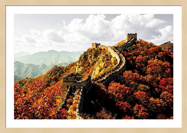Great Wall In Autumn Splendor