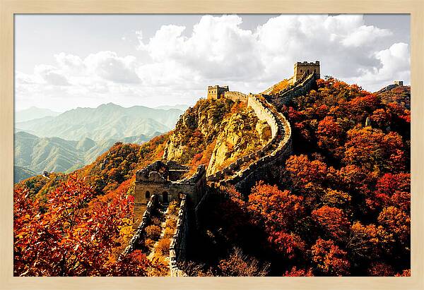 Great Wall In Autumn Splendor