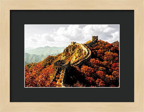 Great Wall In Autumn Splendor
