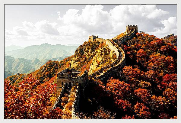 Great Wall In Autumn Splendor
