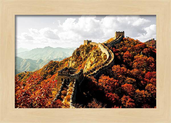Great Wall In Autumn Splendor