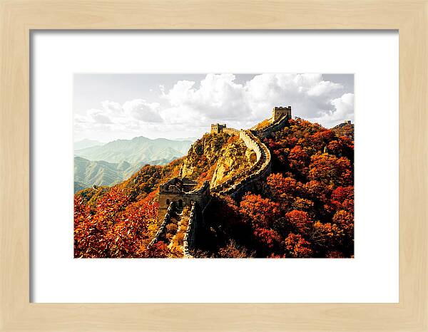 Great Wall In Autumn Splendor