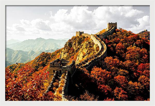 Great Wall In Autumn Splendor