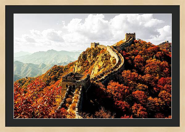 Great Wall In Autumn Splendor