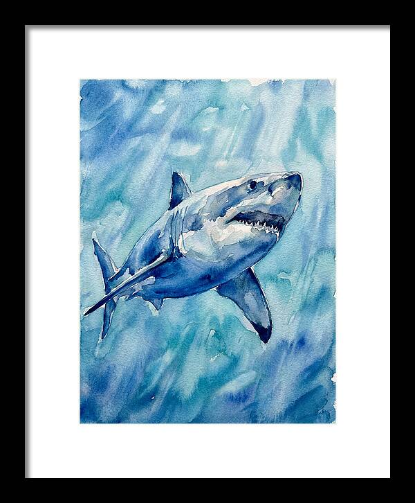 Great White Shark Swimming