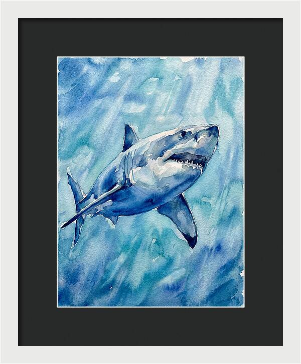 Great White Shark Swimming