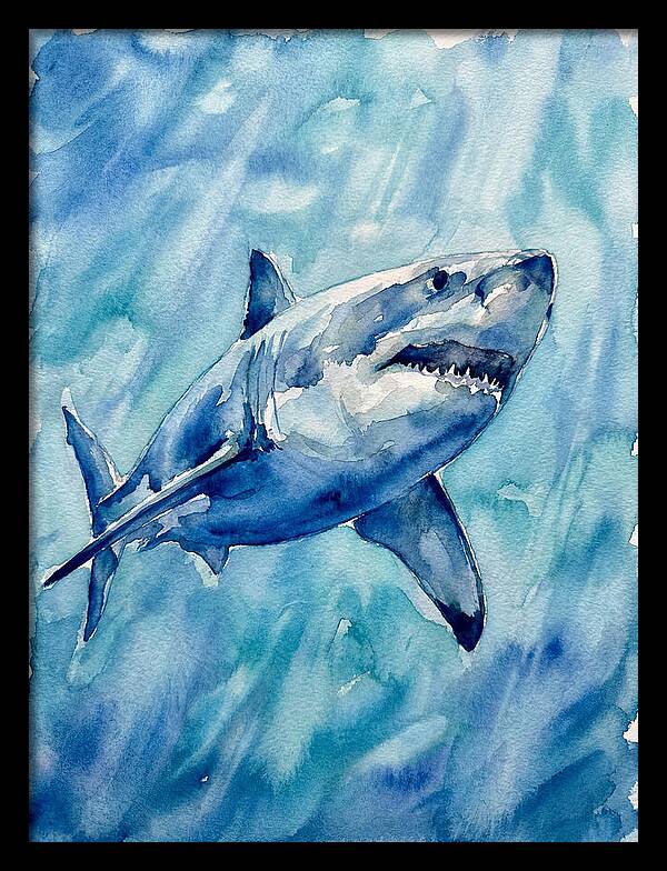 Great White Shark Swimming