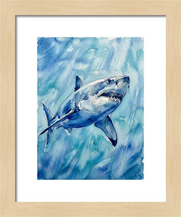 Great White Shark Swimming