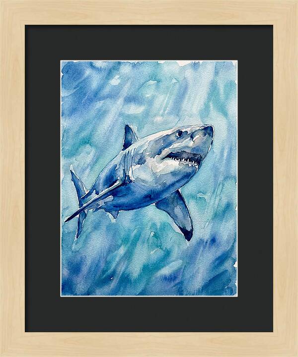 Great White Shark Swimming