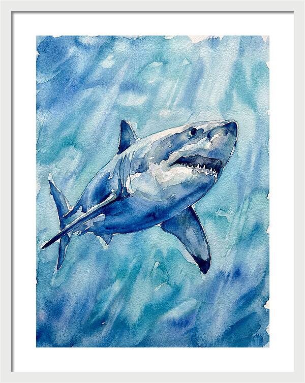 Great White Shark Swimming
