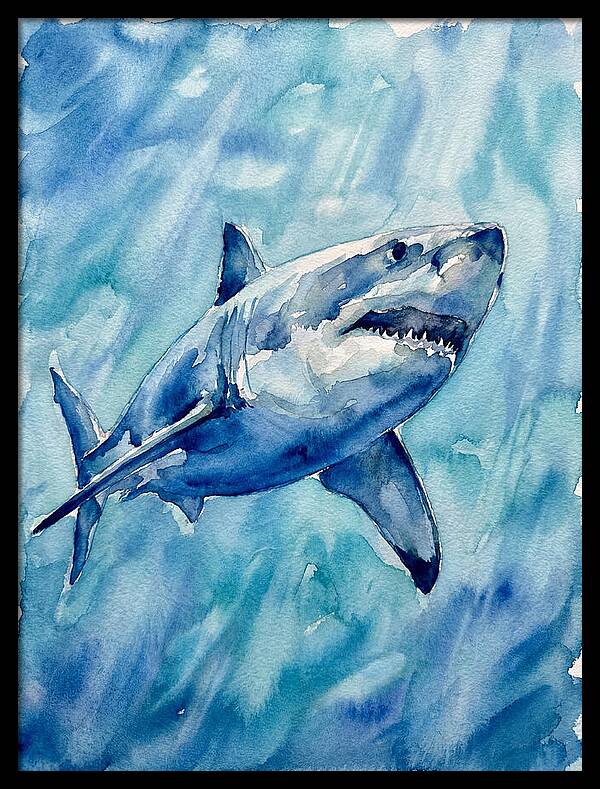 Great White Shark Swimming
