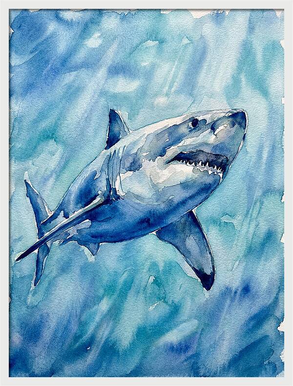 Great White Shark Swimming