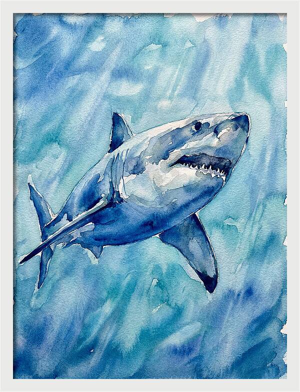 Great White Shark Swimming
