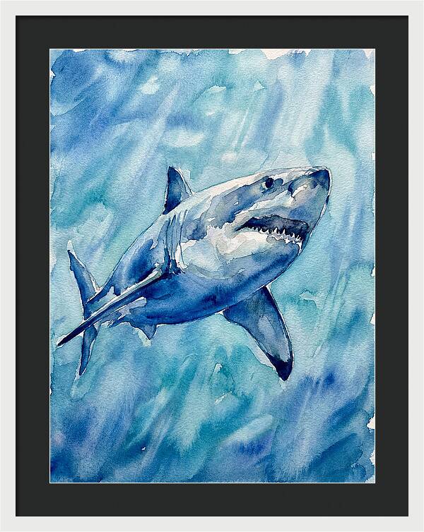 Great White Shark Swimming