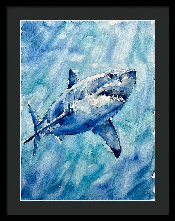 Great White Shark Swimming