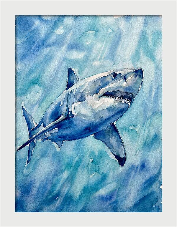 Great White Shark Swimming