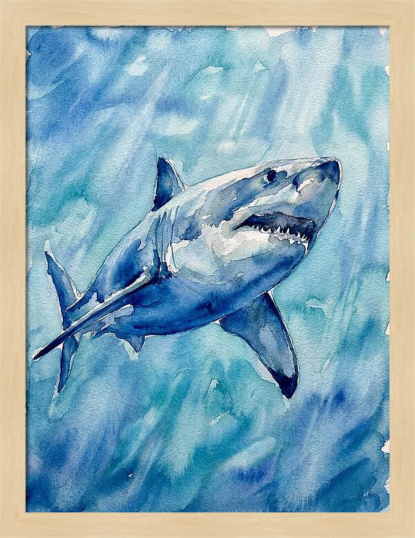 Great White Shark Swimming