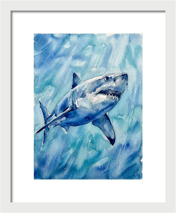 Great White Shark Swimming