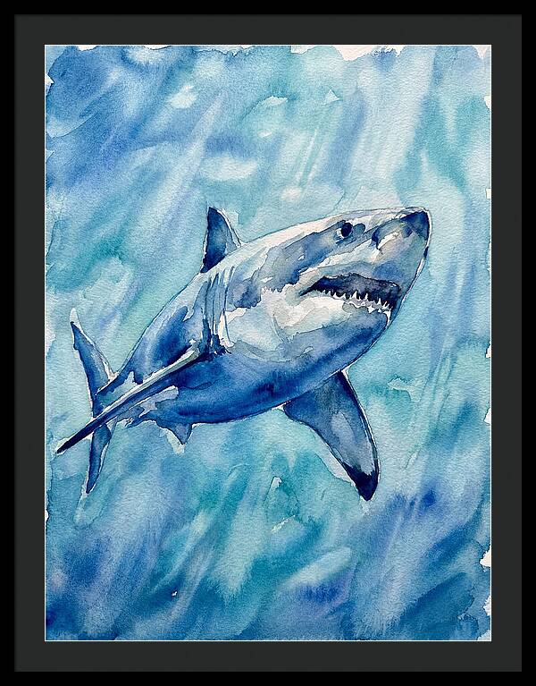 Great White Shark Swimming