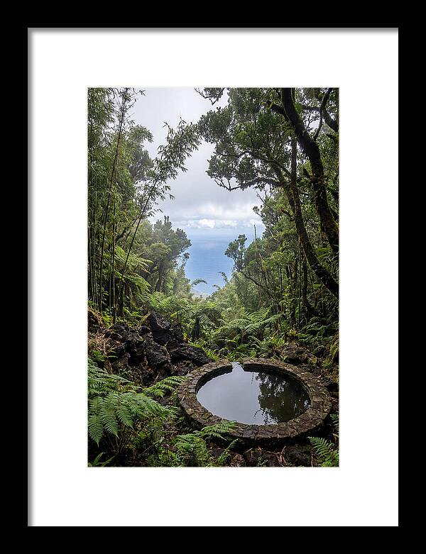 Green Mountain Cloud Forest Serenity
