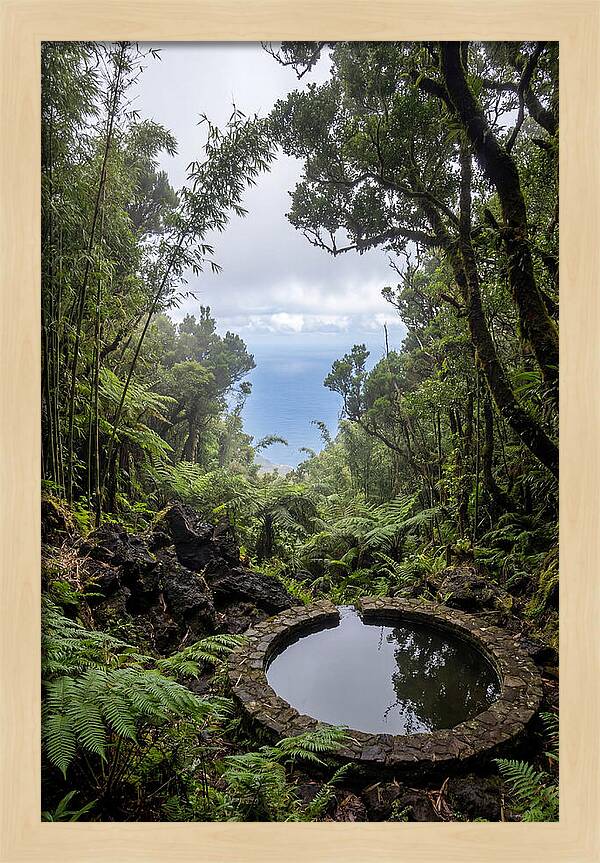 Green Mountain Cloud Forest Serenity