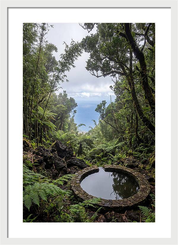 Green Mountain Cloud Forest Serenity