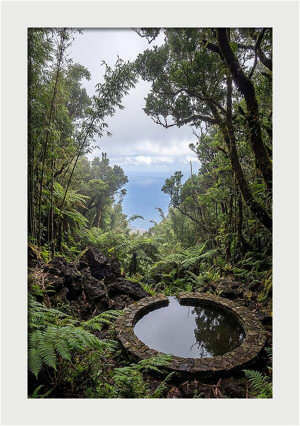 Green Mountain Cloud Forest Serenity