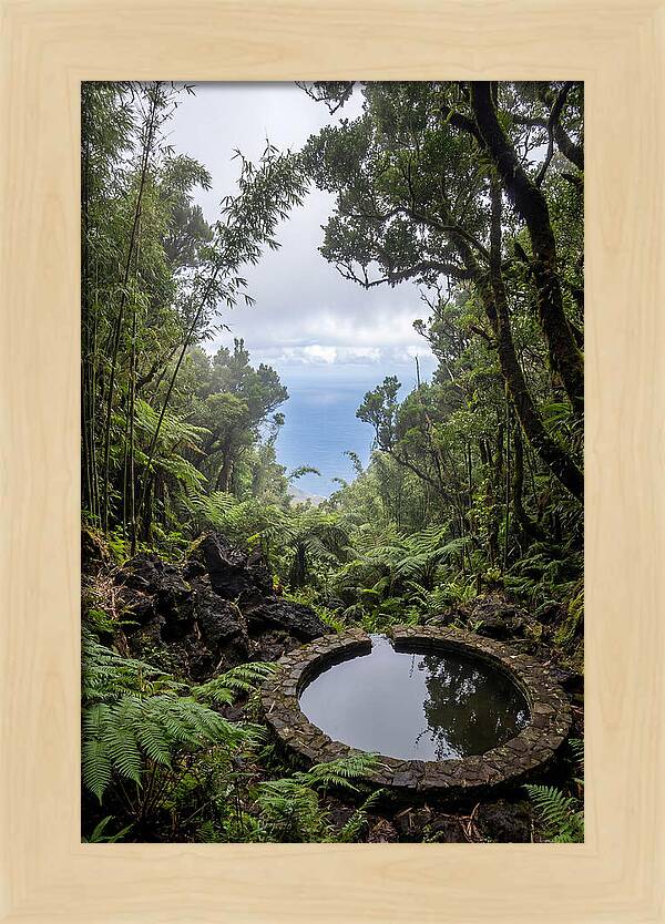 Green Mountain Cloud Forest Serenity
