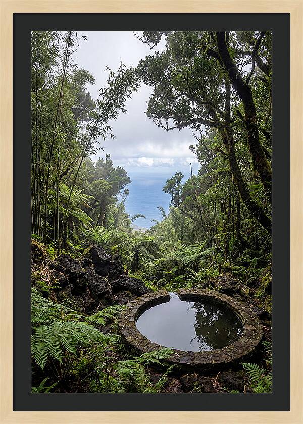 Green Mountain Cloud Forest Serenity