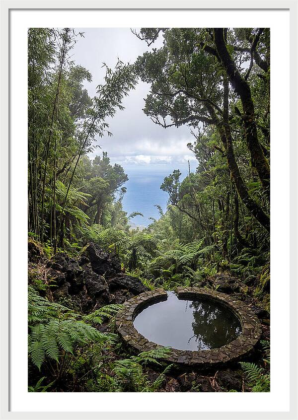 Green Mountain Cloud Forest Serenity