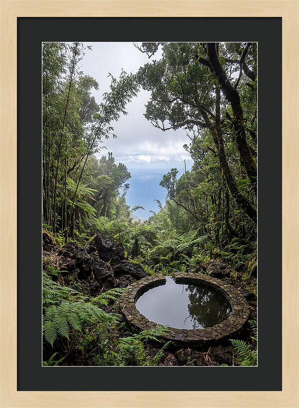 Green Mountain Cloud Forest Serenity