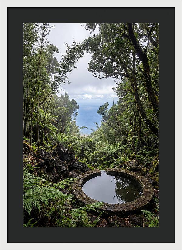 Green Mountain Cloud Forest Serenity