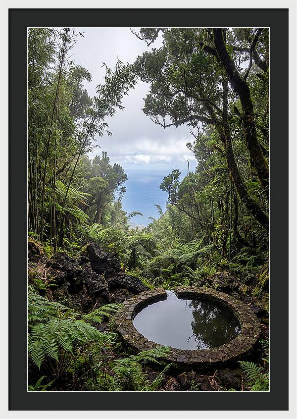 Green Mountain Cloud Forest Serenity