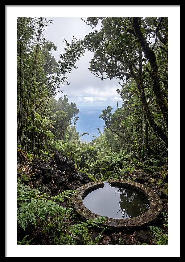 Green Mountain Cloud Forest Serenity
