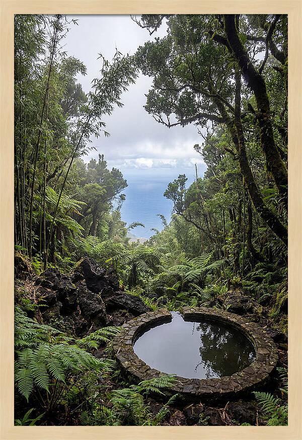 Green Mountain Cloud Forest Serenity