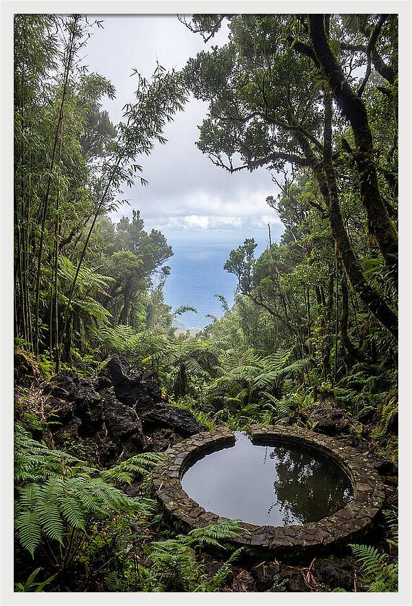 Green Mountain Cloud Forest Serenity