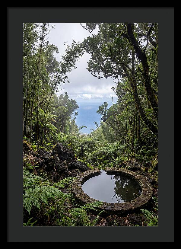 Green Mountain Cloud Forest Serenity