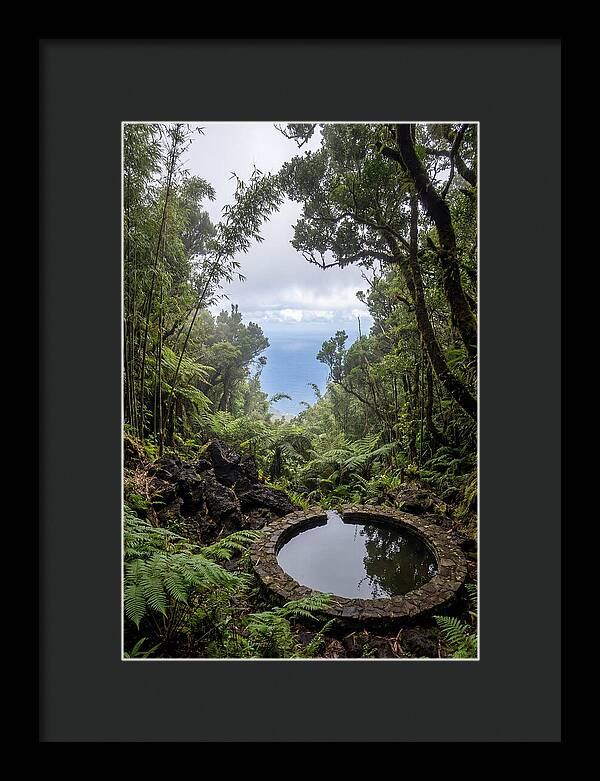 Green Mountain Cloud Forest Serenity