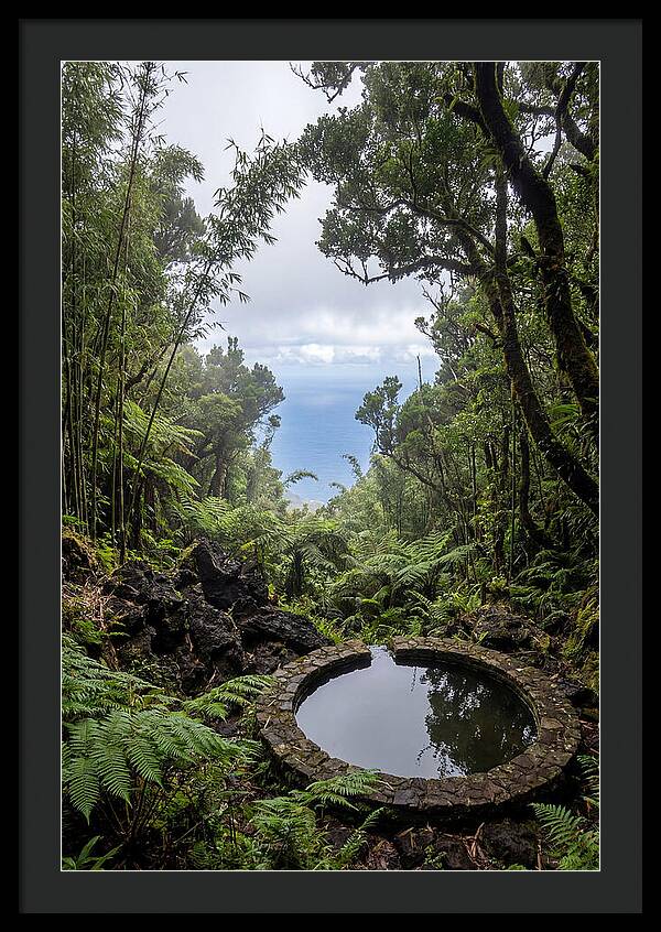 Green Mountain Cloud Forest Serenity