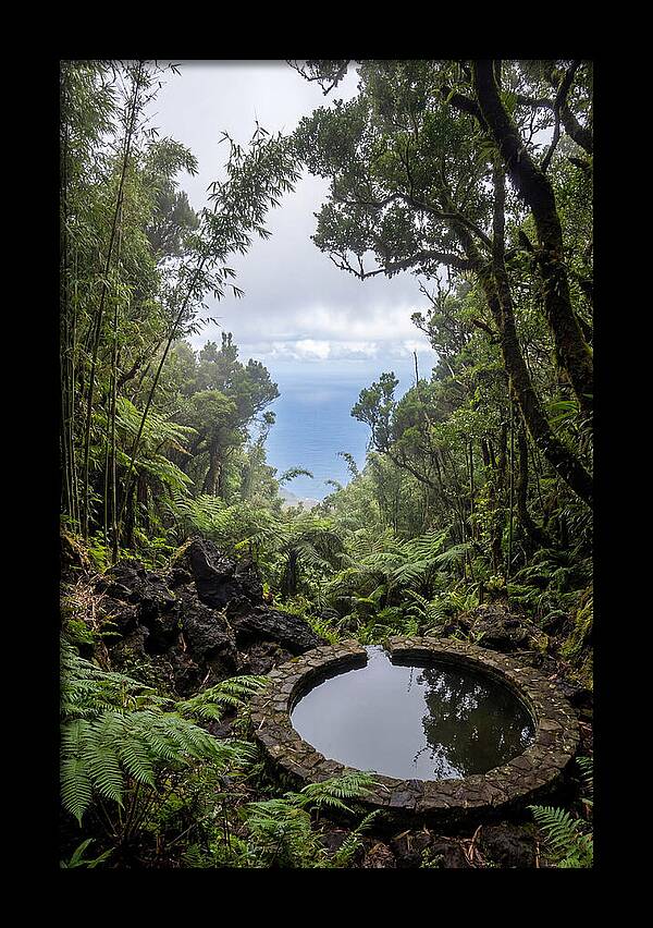 Green Mountain Cloud Forest Serenity