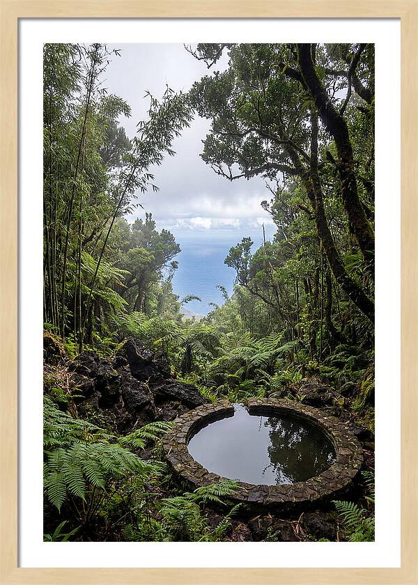 Green Mountain Cloud Forest Serenity