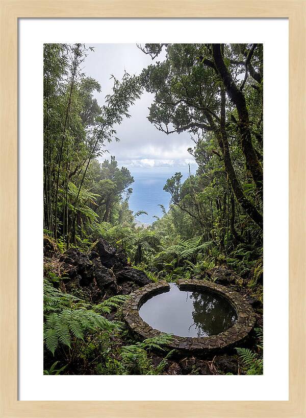 Green Mountain Cloud Forest Serenity