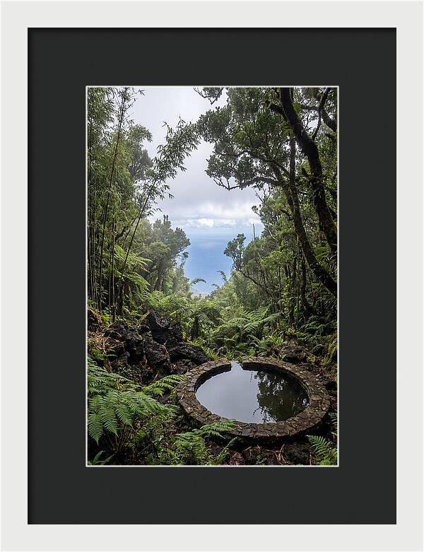 Green Mountain Cloud Forest Serenity