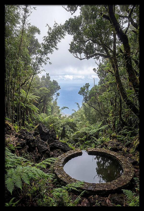 Green Mountain Cloud Forest Serenity