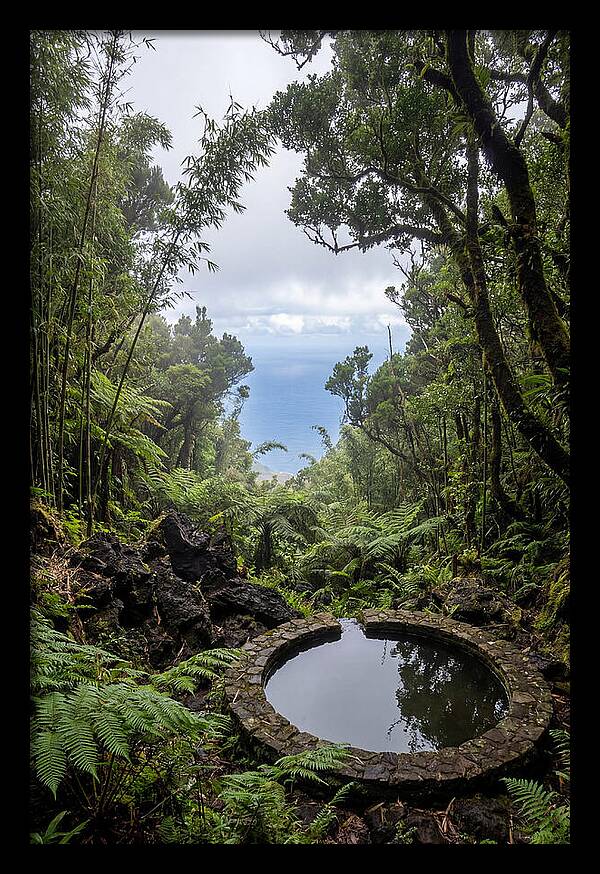 Green Mountain Cloud Forest Serenity